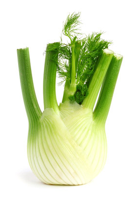 Fenchel Heilpflanze Anwendung