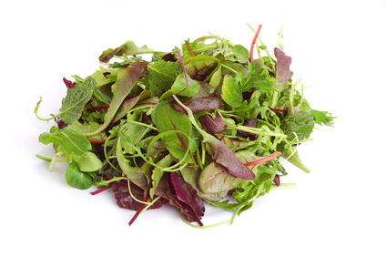 Salat aus kräutern - Zutaten für den Kräutersalat
