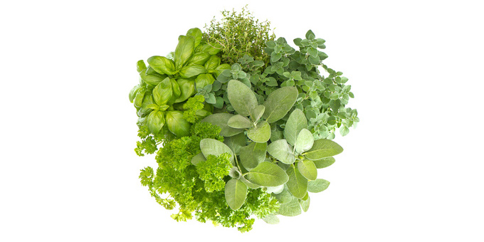 Kräuterrezept zur Gewichtsreduktion Kräuterrezept zur Gewichtsreduktion