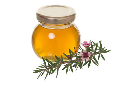 Manuka Honig