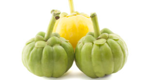 Garcinia Cambodia Diät