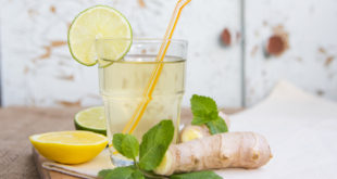 Kräuterlimonade Rezepte