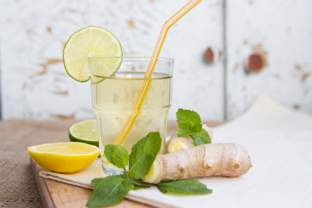 Kräuterlimonade Rezepte