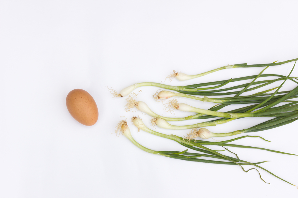 Fruchtbarkeit steigern Mann Ernährung