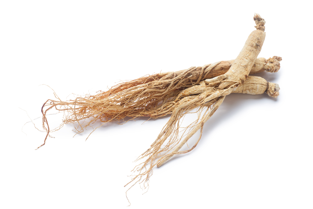 Ginseng Wurzel Wirkung