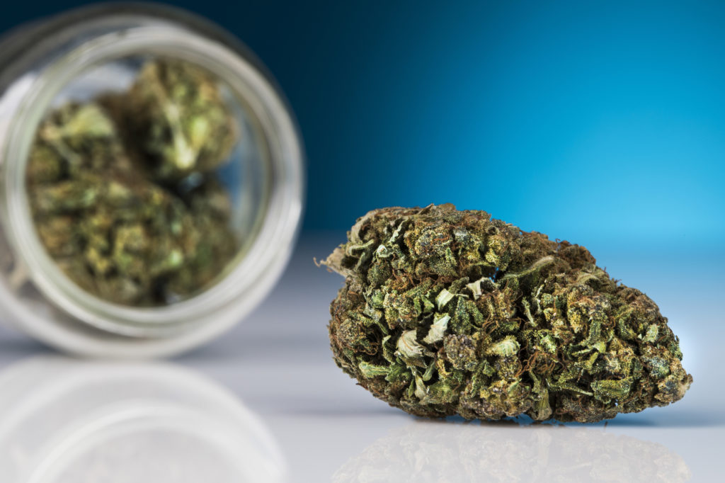 CBD Blüte